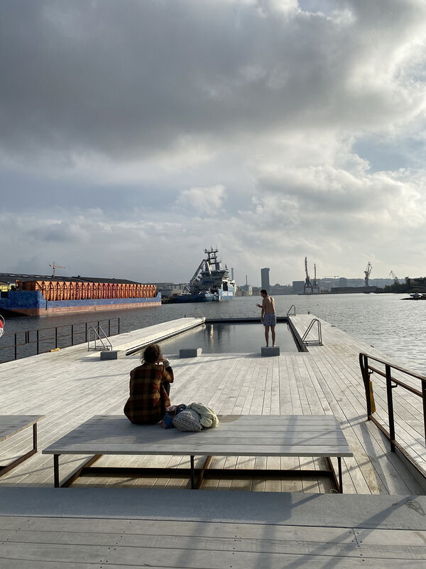 Träbrygga vid havet. Foto. 