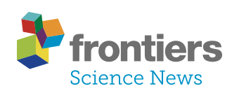 Frontiers Science news. Logo.