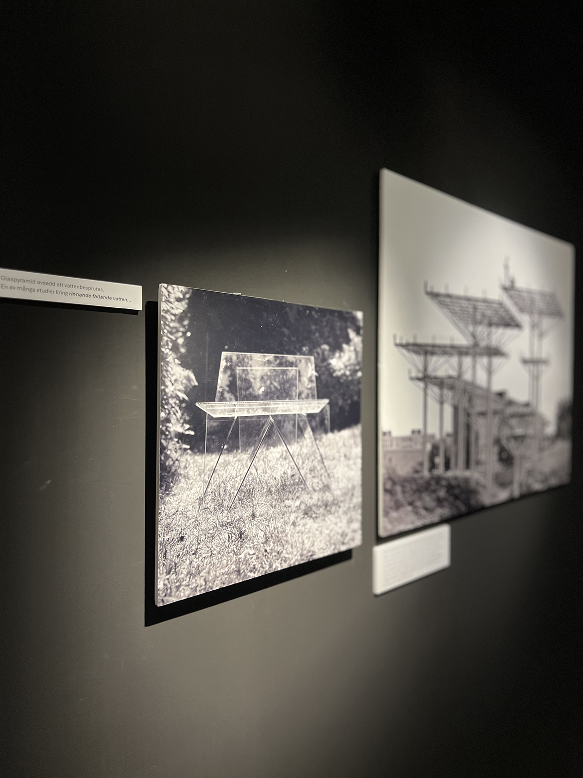 Photo Exhibition. Photo. 