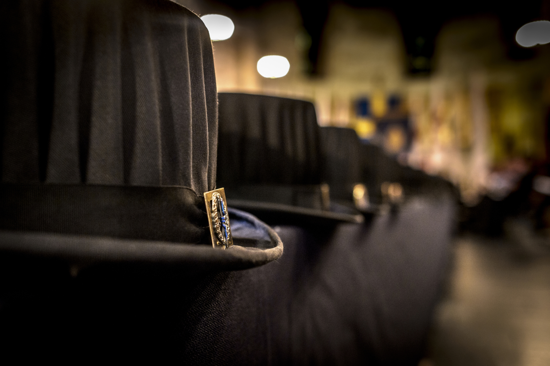 Degree of Doctor. Illustration. Photo. 