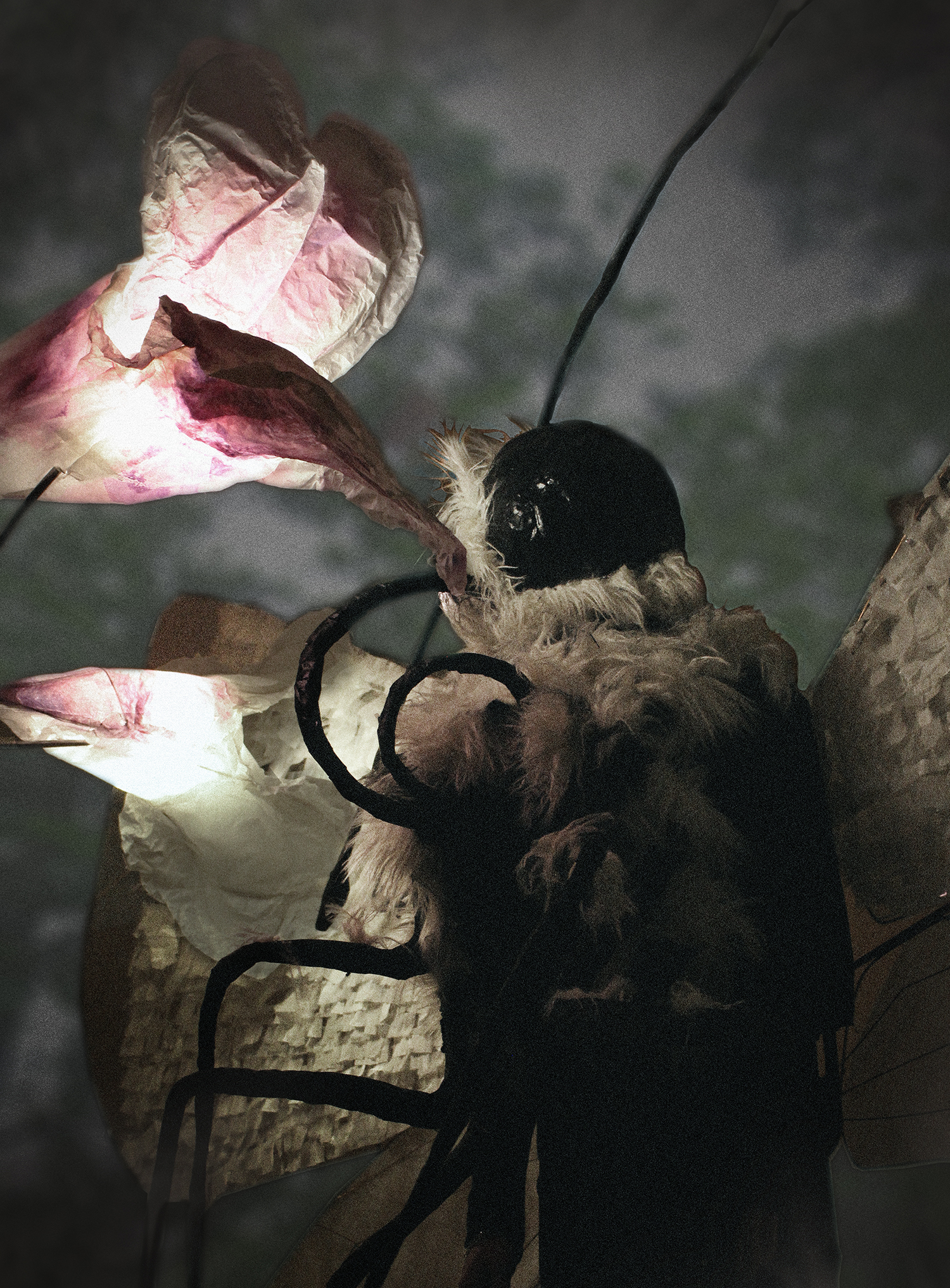Floor lamp in the shape of a butterfly. Photo.