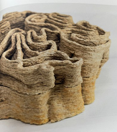 Vision. Illustration. 